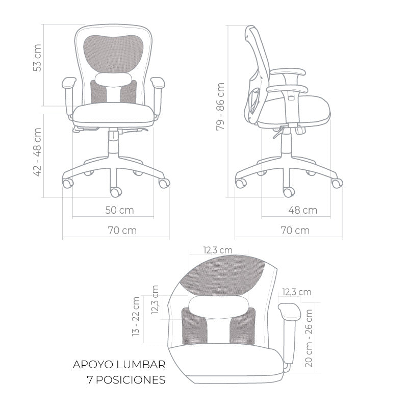 Silla Citiz